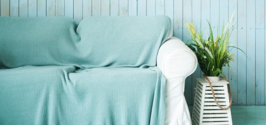 Peinture vert sauge est une couleur tendance chez vous